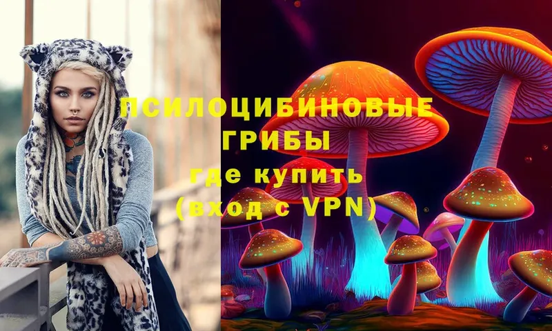 Галлюциногенные грибы Psilocybe  продажа наркотиков  Белово 